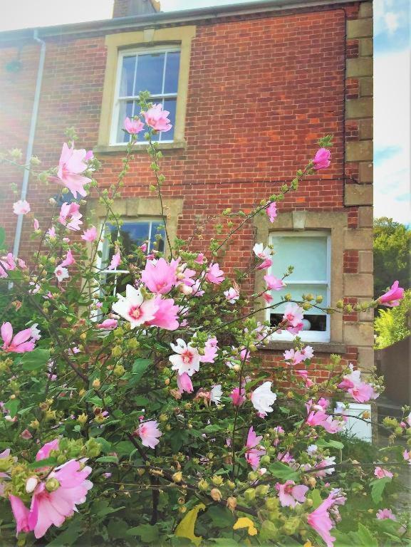 The Victorian House Bed & Breakfast Bridport Dış mekan fotoğraf